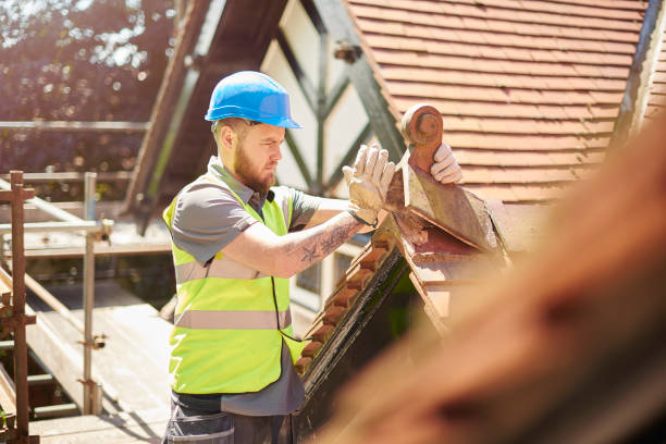 Best Roof Gutter Cleaning  in Tecumseh, OK